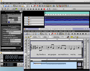 track information and notation view