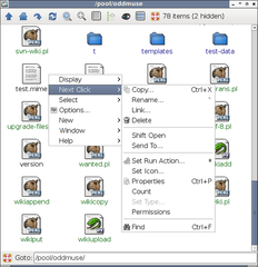 simple graphical file manager for X11