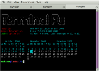 Multi-tabbed GTK+/VTE terminal emulator - binaries