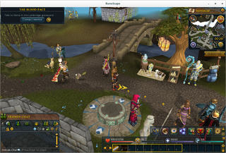 Multiplayer online game set in a fantasy world