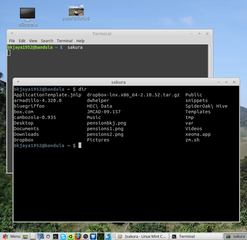 simple but powerful libvte-based terminal emulator