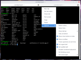 simple but powerful libvte-based terminal emulator