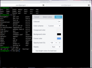 simple but powerful libvte-based terminal emulator