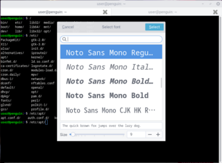 simple but powerful libvte-based terminal emulator