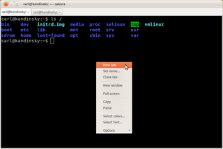 simple but powerful libvte-based terminal emulator