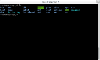 simple but powerful libvte-based terminal emulator