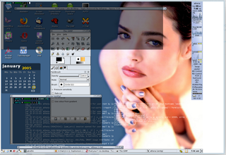 Themes for the Sawfish window manager