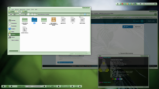 craspa theme with transparency