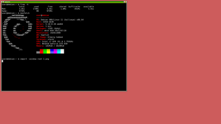 window manager for X11