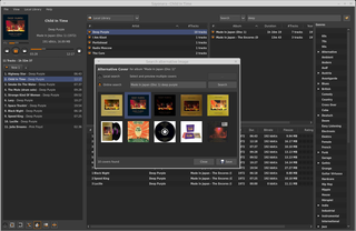 Player, library, and cover views.