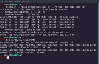 parallel Internet measurement utility