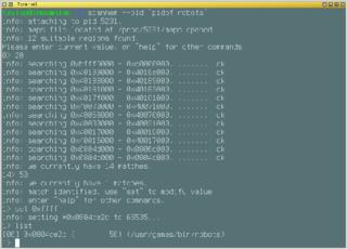 locate and modify a variable in a running process