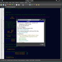 Lightweight GTK-based programming editor