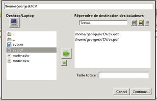 Dialog to schedule files for copying
