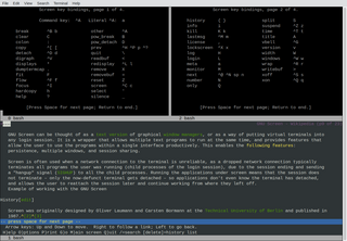 terminal multiplexer with VT100/ANSI terminal emulation
