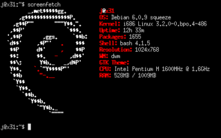 debian logo and system informations