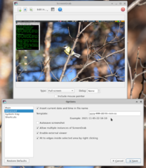 Crossplatform tool for getting screenshots