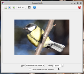 Crossplatform tool for getting screenshots