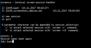 screenie with 2 sessions started and one session prepared for starting