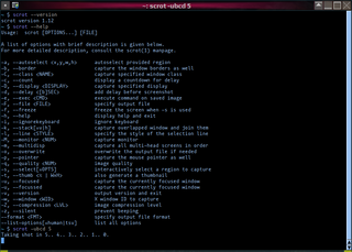 command line screen capture utility