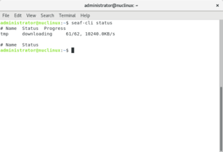Seafile Client CLI status output while syncing one library