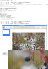 Makes a whopping great postscript file from an image and a text