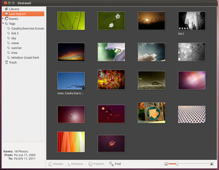 digital photo organizer