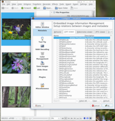 Menu->Settings->Configure Showfoto->Metadata