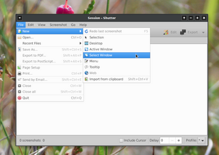 feature-rich screenshot program