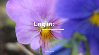 desktop-independent graphical login manager for X11