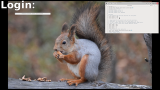 desktop-independent graphical login manager for X11