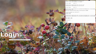 desktop-independent graphical login manager for X11