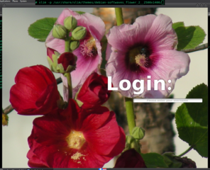 desktop-independent graphical login manager for X11