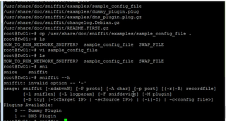 packet sniffer and monitoring tool