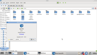 Multi-panel tabbed file manager - GTK3 version