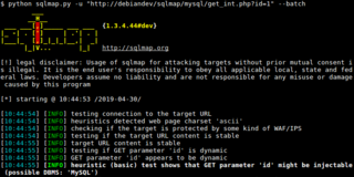 automatic SQL injection tool