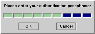 User typing her/his ssh key passphrase.