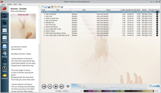 audio player and music collection organizer