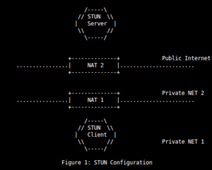 Server daemon and test client for STUN