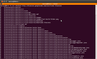 Advanced version control system