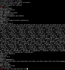 sudo -i (This means that .profile... will be read by the shell of user )