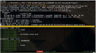 fast unix command line interface to WWW