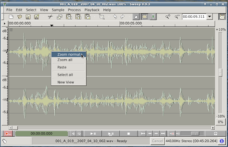 Audio editor and live playback tool