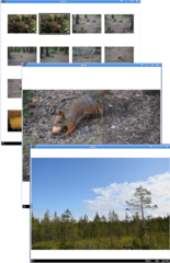 sxiv -t 0_FOTO/ (press left key mouse Click+click-view, right key =escape)