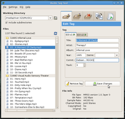 Tool to tag and rename MP3 and Ogg Vorbis files