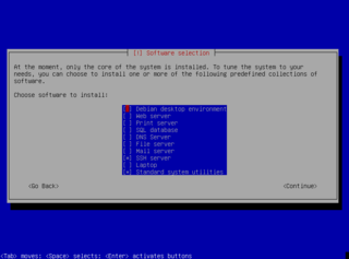 Software selection (during install).