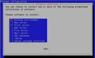 tool for selecting tasks for installation on Debian systems
