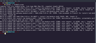 command-line network traffic analyzer