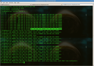 TCP flow recorder