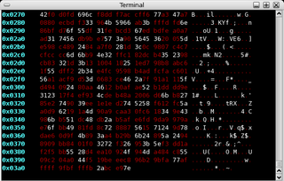 TCP stream sniffer and connection tracker